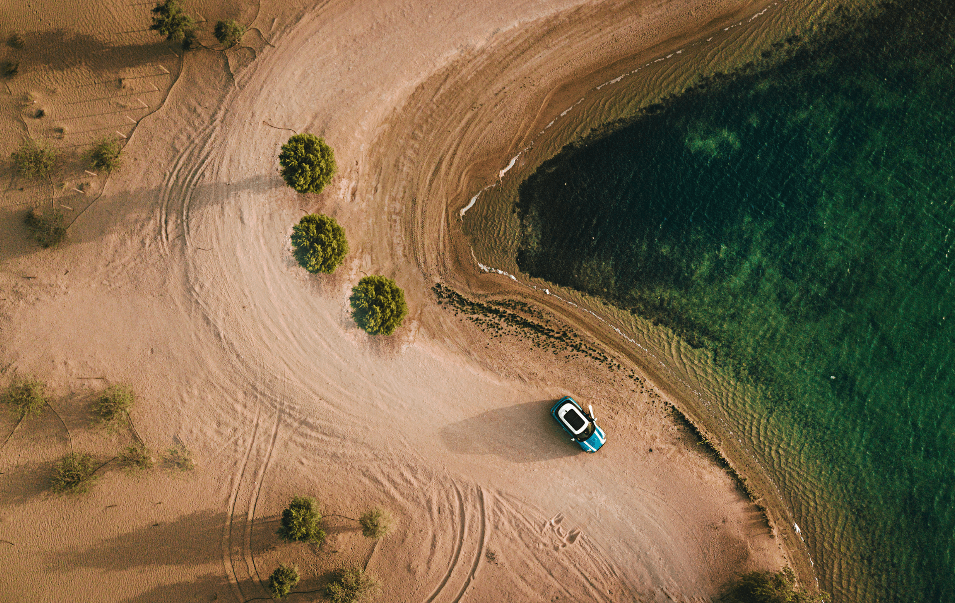 car in wild